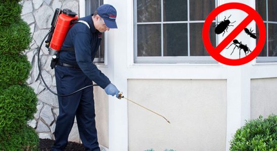 Evka 7 Karınca İlaçlama böcek ilaçlama ve haşere kontrolü — ilaclama-tr.com